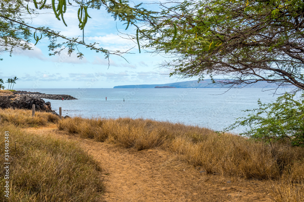 A gorgeous view of the natural landscape in Maui, Hawaii A gorgeous view of the natural landscape in Maui, Hawaii