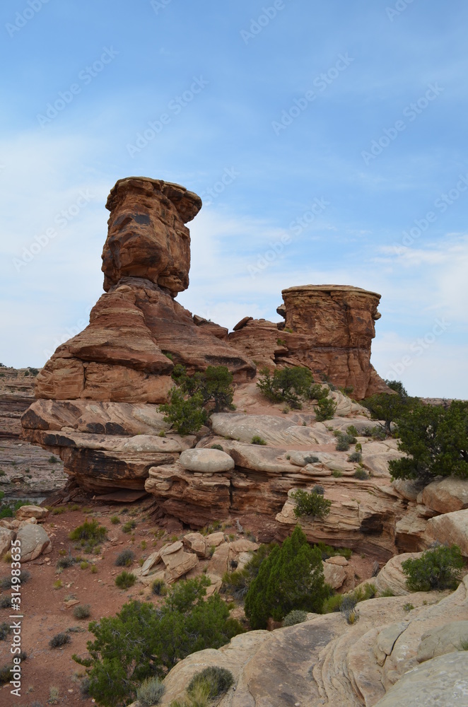 Early Summer in Utah: Rock Formations Seen from the Big Spring Canyon Overlook in the Needles District of Canyonlands National Park