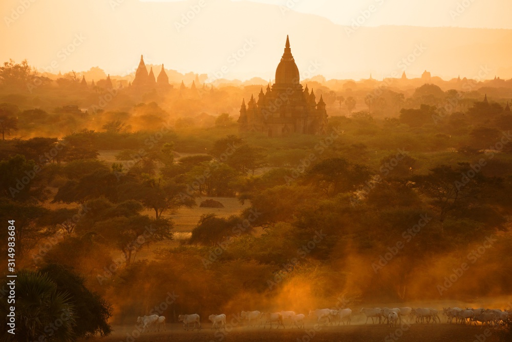 Fototapeta premium Myanmar - Bagan