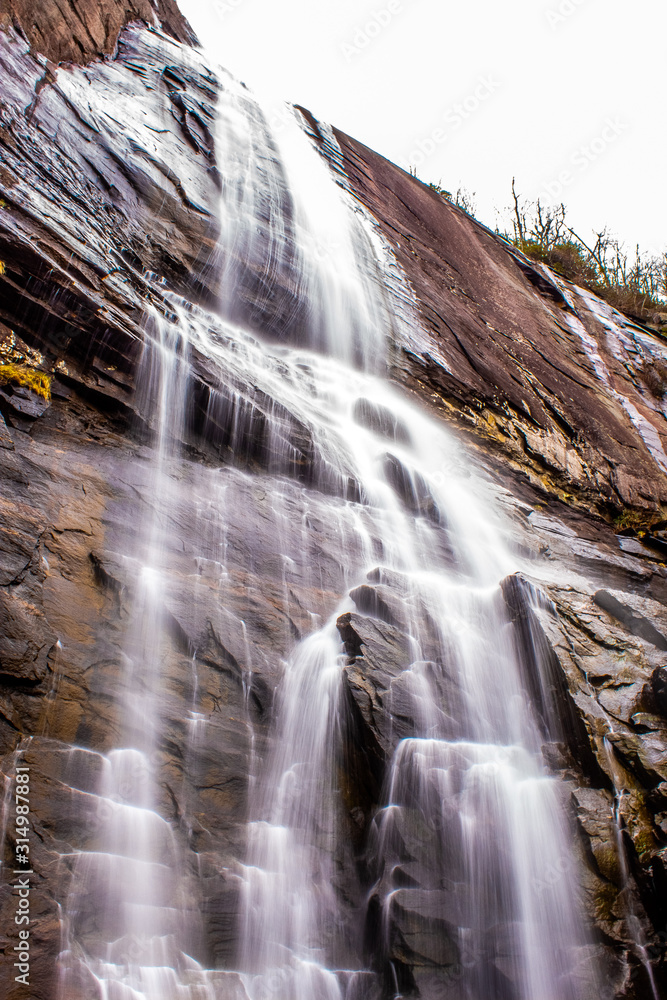 waterfall in the forest Stock Photo | Adobe Stock