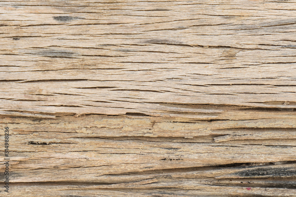 Wooden planks wall texture with Natural Pattern abstract for background Wooden planks wall texture with Natural Pattern abstract for background