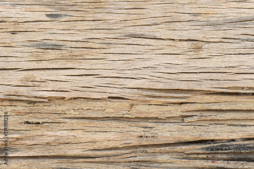 Wooden planks wall texture with Natural Pattern abstract for background