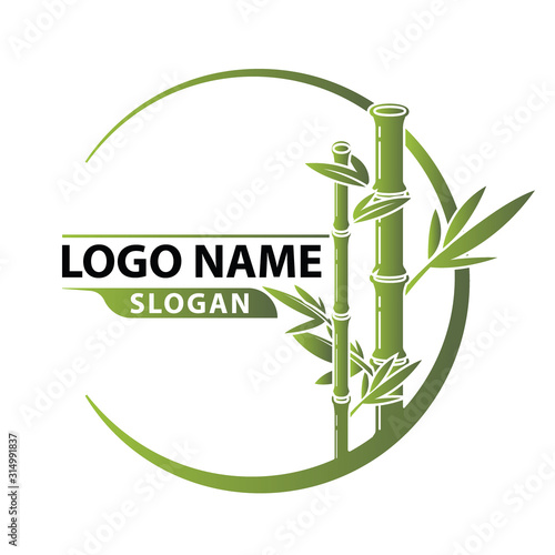 Bamboo Logo Template vector.