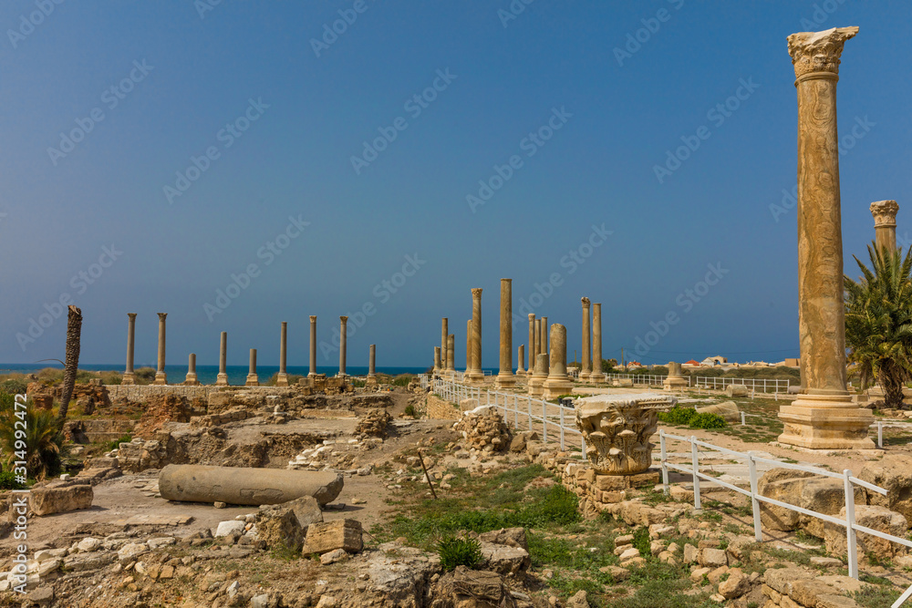romans ruins Tyre Sur in South Lebanon Middle east