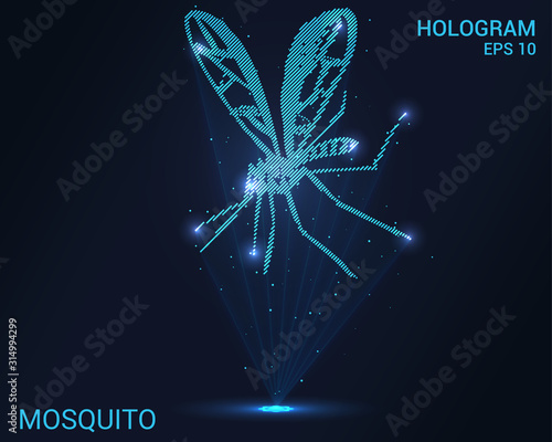 Hologram mosquito. Holographic projection of a mosquito. Flickering energy flux of particles. Scientific insect design.