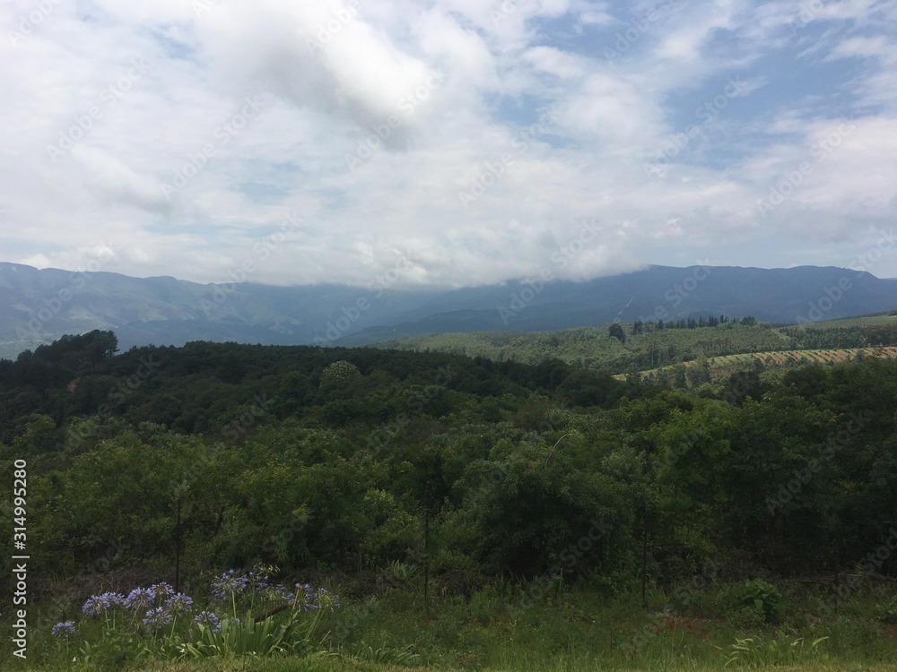 custom made wallpaper toronto digitallandscape with mountains