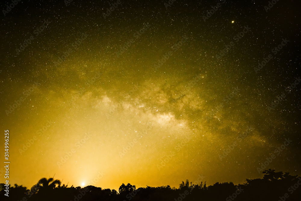 Luminous night with moon light, Vast sky at night landscape with milky way and various starry over forest Luminous night with moon light, Vast sky at night landscape with milky way and various starry over forest