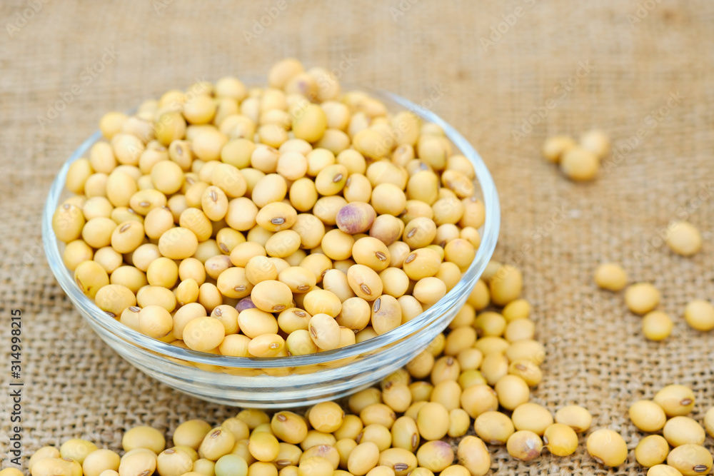 Soy bean in bowl with copy space.Close up soybean.beans dry in plate Soy bean in bowl with copy space.Close up soybean.beans dry in plate