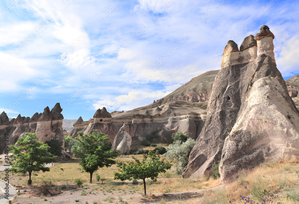 Fairy Chimney or Multihead stone mushrooms, Cappadocia, Turkey Fairy Chimney or Multihead stone mushrooms, Cappadocia, Turkey