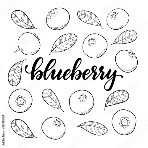 set of Beautiful cartoon black and white outline blueberries with lettering text blueberry. design holiday greeting card and invitation of seasonal summer holidays, beach parties, tourism and travel