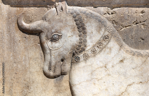 Bas-relief bull head, Shiraz, Iran