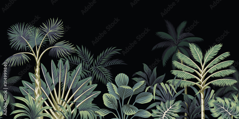 Papier peint photo avec Bordure nuit palmiers bananiers jungle fond noir #314999840