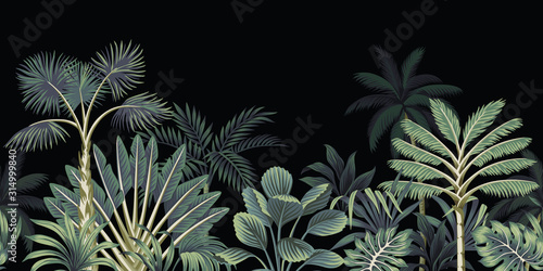 Tropical night vintage palm tree, banana tree and plant floral seamless border black background. Exotic dark jungle wallpaper.