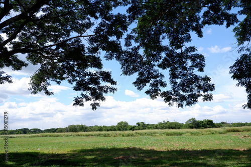 view of the plains under a shade