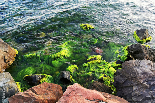 Bulgarian Black sea in Ravda village photo