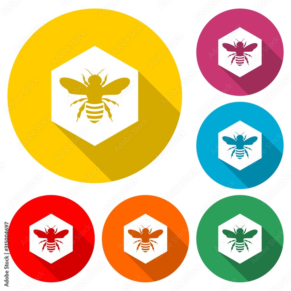 Bee and honeycomb icon isolated with long shadow