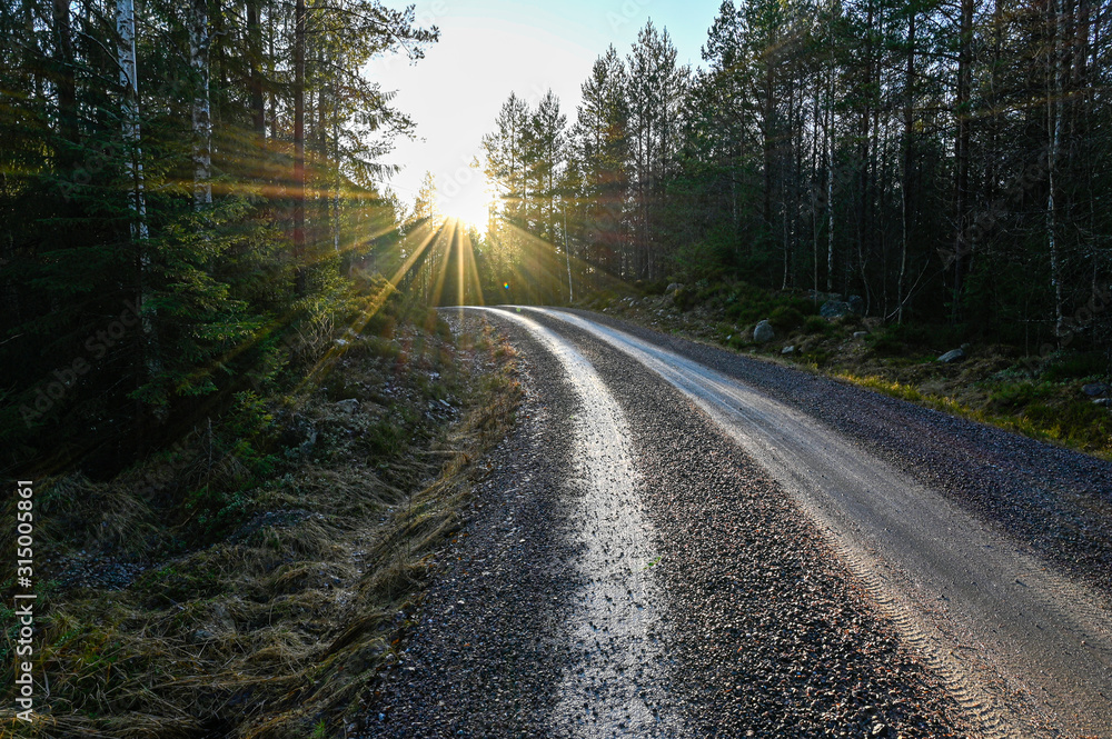 backlight over gravel road in Varmland Sweden