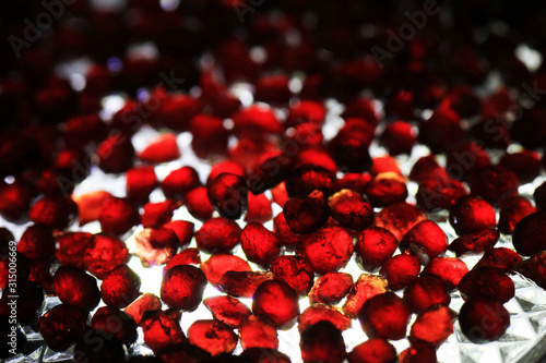 red garnet pyrope collection photo