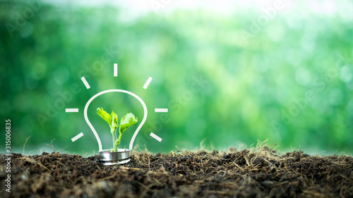 A small tree born on a light bulb with icons light bulb for renewable, sustainable development over blurred green nature background.  environment concept.Ecology concept.