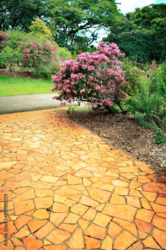 Canvas Print Singapore Botanic Gardens