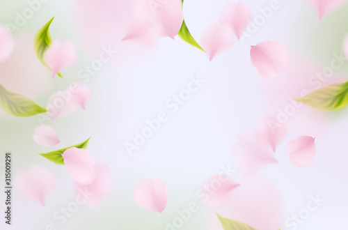 Pink rose petals and leaves on sky background. Nature flying sakura flower pattern for romantic wedding invitation design.