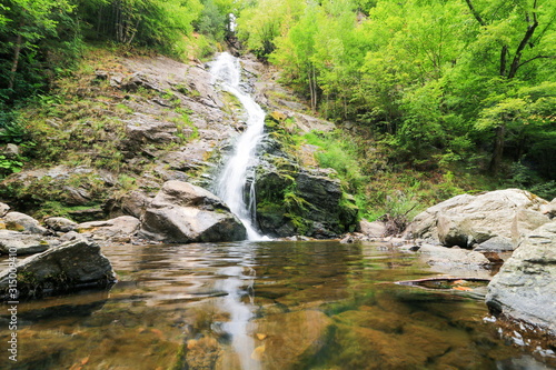 waterfall in the forest