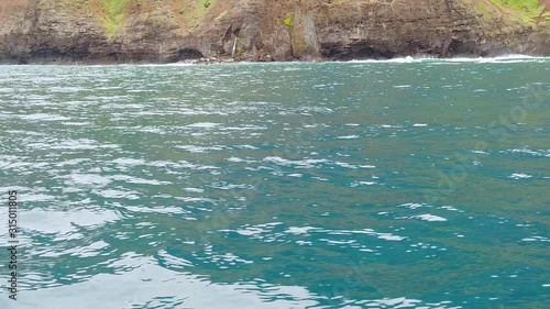 Wallpaper Mural HD 120fps Hawaii Kauai Boating on the ocean dolphins smack water with fins and blow water in distance with waves crashing against rocky cliffs background Torontodigital.ca