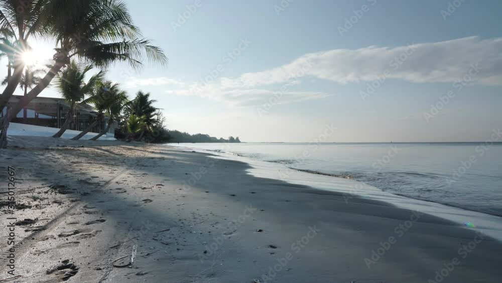 Background resort, coconut palm trees on beach In the morning at sea Asia Thailand. Slow motion Background resort, coconut palm trees on beach In the morning at sea Asia Thailand. Slow motion