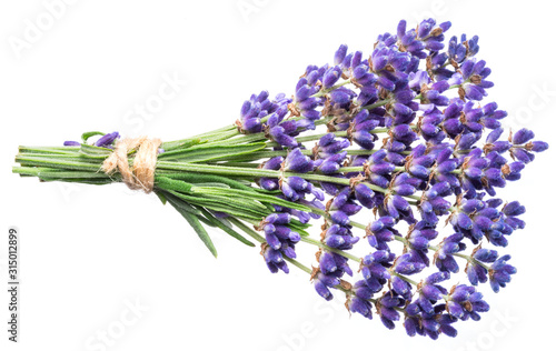 Bunch of lavandula or lavender flowers on white background.