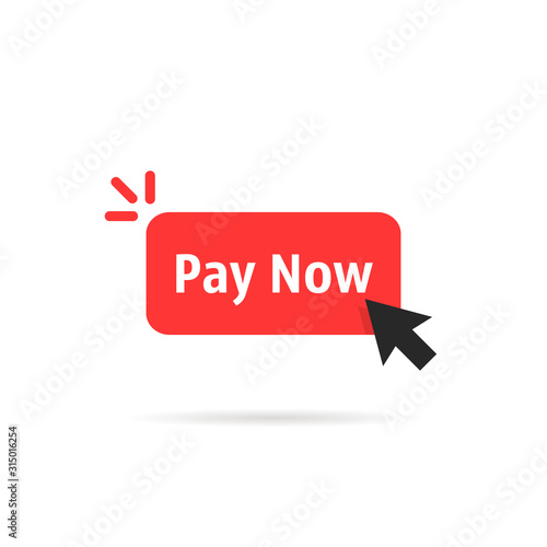 red pay now button isolated on white