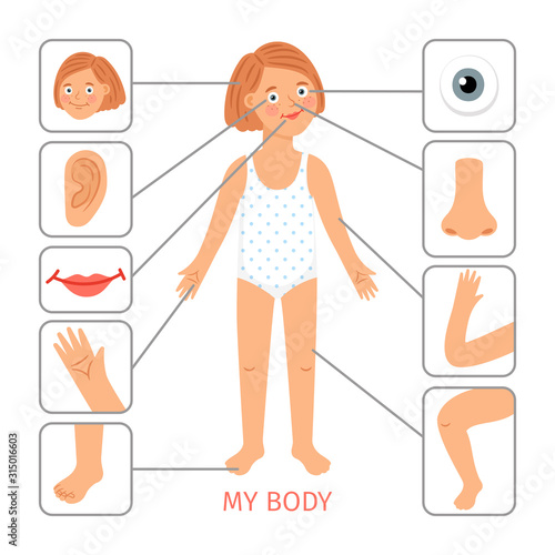 Girl body parts. Preschool female child body parts cartoon vector illustration, arm and leg, nose and eye, hair and neck on white background