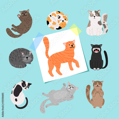 Shorthaired cats illustration. Cartoon cat collection isolated on blue background, fluffy kittens breeds drawings vector illustration