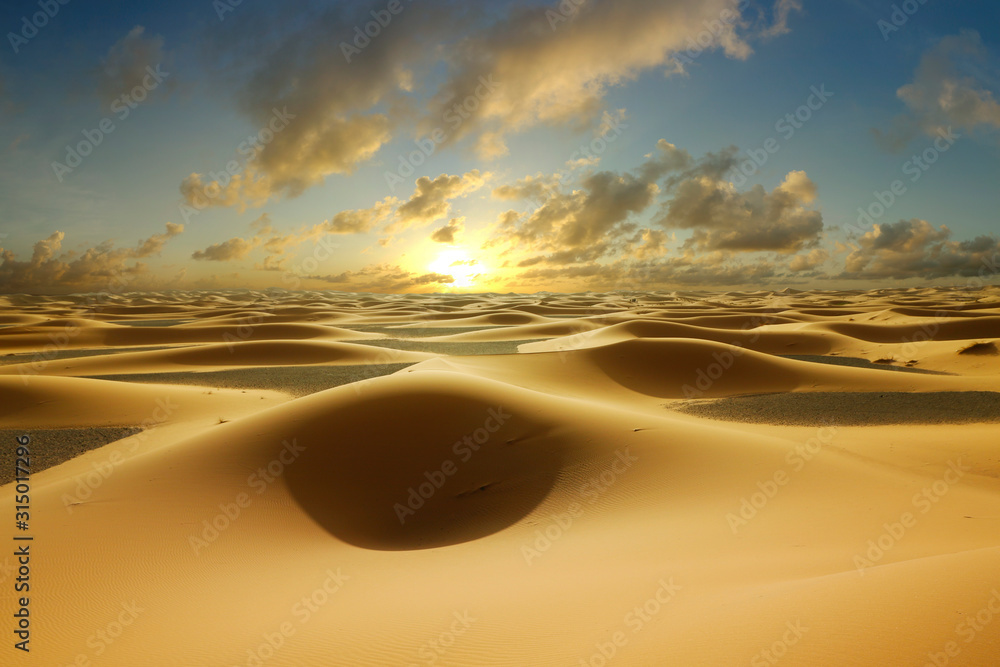 Fototapeta sunset on sand dune in the sahara desert 