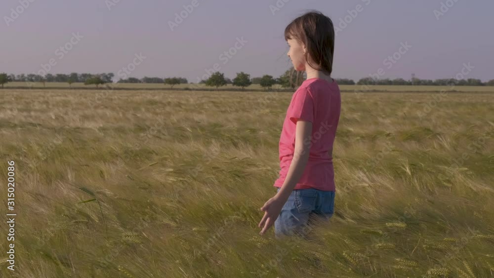 Steps in wheat. Steps in wheat.