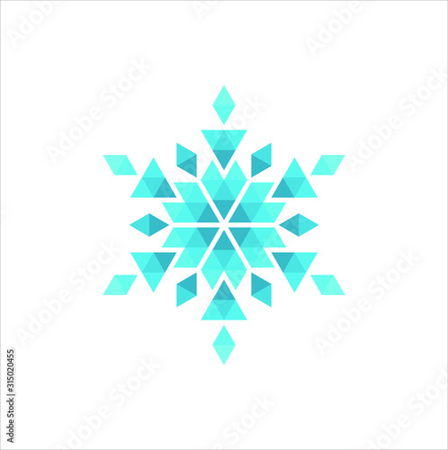 Snowflake winter vector graphic logo