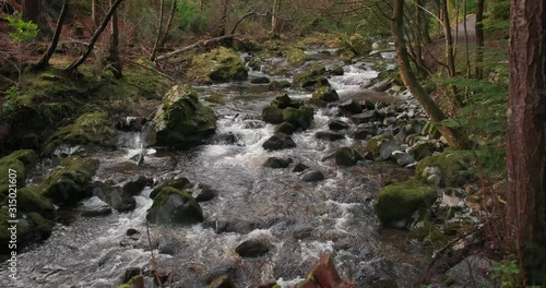 Scenic 4K video of Tollymore forest mountain stream and surroundings, Tollymore Forest park, Northern Ireland