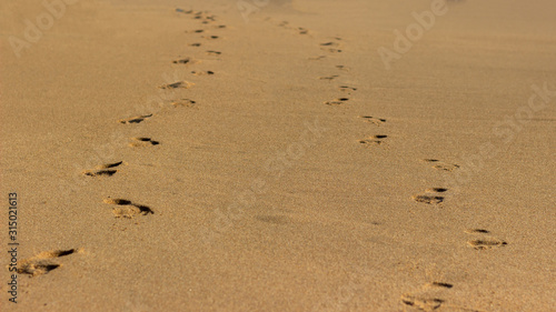 two pairs of footprints walking on sand