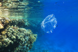 Plastic bag drift underwater