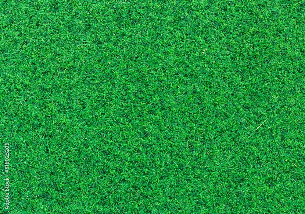 Fototapeta premium Green grass soccer field background.