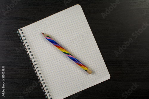  Color pencil lies on a squared notebook