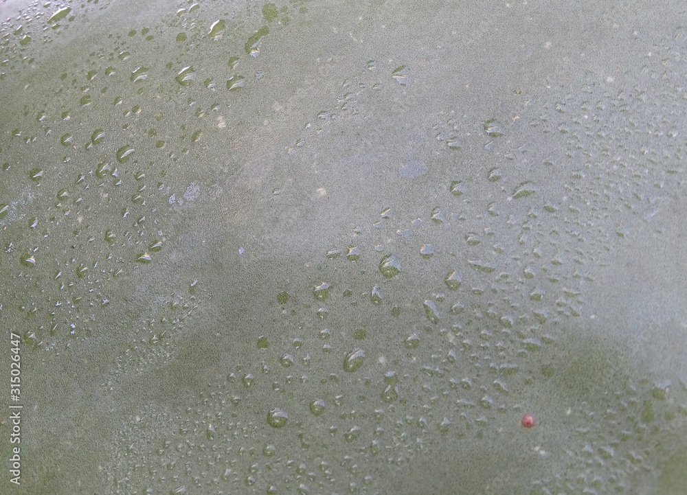 TEXTURA VERDE NATURAL ABSTRACTA CON GOTAS DE AGUA. TEXTURA VERDE NATURAL ABSTRACTA CON GOTAS DE AGUA.