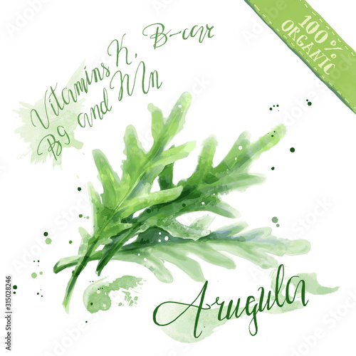 Raw arugula salad, rocket salad, Organic health food for vegetarians and health care.