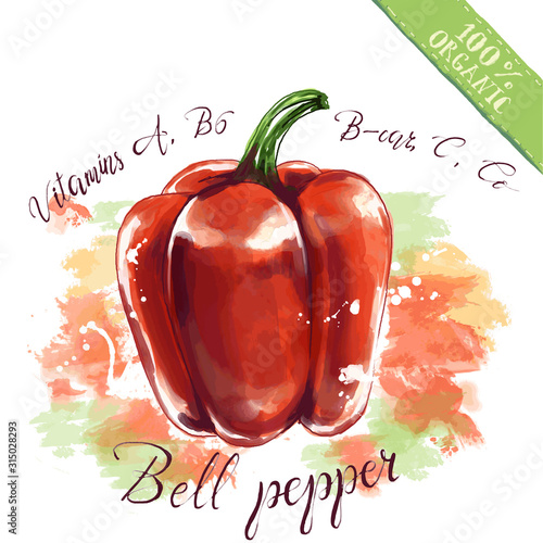 Vector red bell pepper. Organic health food for vegetarians and health care.