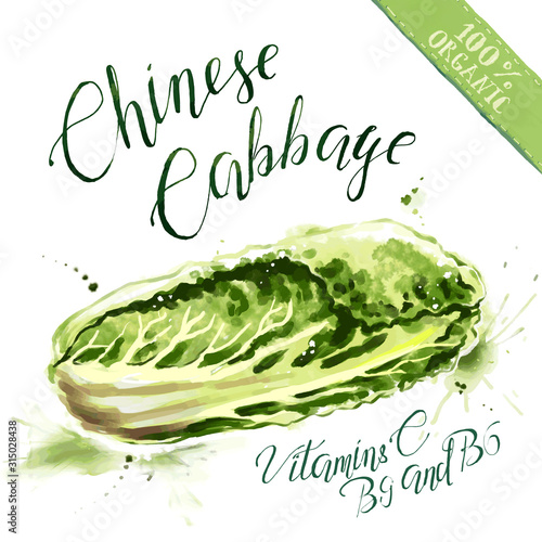 Organic health food for vegetarians and health care. Chinese cabbage