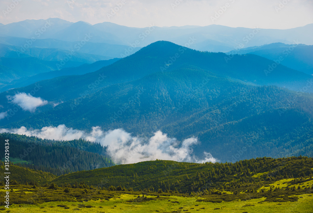 Carpathian mountains in summer Carpathian mountains in summer