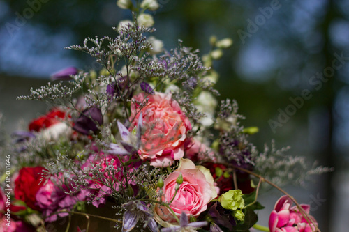 composition of pink and red roses on a blurred background.