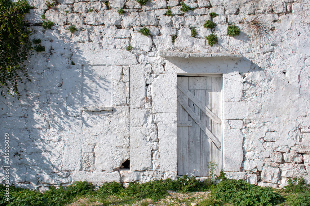 Ancient wooden door of an old white stone house in a countryside village in Puglia, Italy, Europe with plant capers
