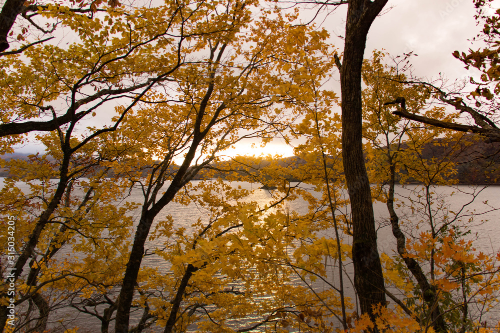裏磐梯　桧原湖の秋