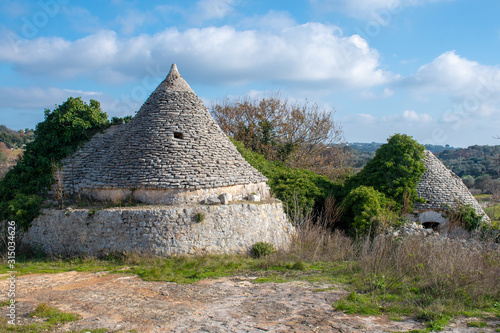 Ancient Trullo in the countryside  traditional old house and old stone wall in Puglia  Italy  Europe with olive trees