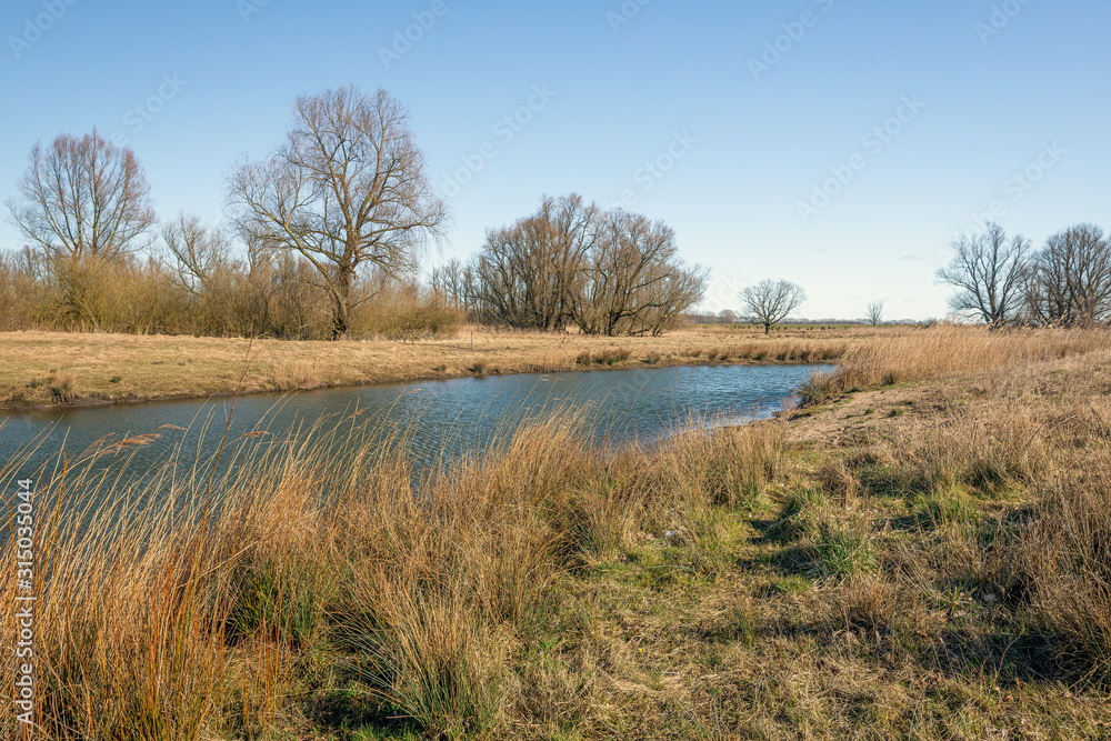Wild nature at the end of the winter season. The bright blue sky reflects in the water surface of the creek. The photo was taken in the Dutch National Park Biesbosch, province of Noord-Brabant.